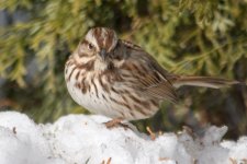 DSC_7726.jpg