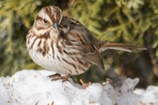 DSC_7727.jpg