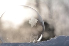 DSC_5090a.jpg