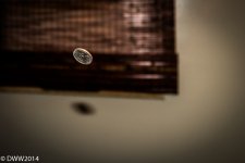 Frozen flip (1 of 1).jpg