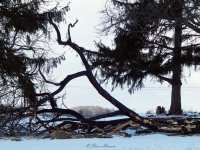 DSCN1362.jpg