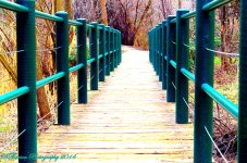 Blue Bridge 2.jpg