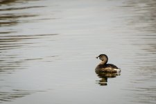 Day64-1.jpg