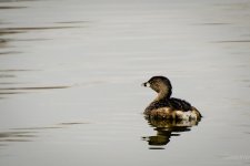 Day64-2.jpg