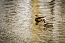 Day64-3.jpg