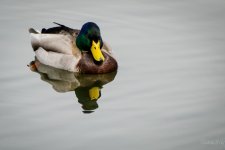 Day64-4.jpg