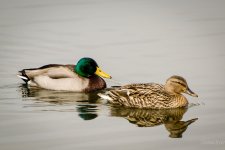 Day64-7.jpg