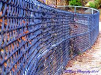 Fence at Layton Park.jpg