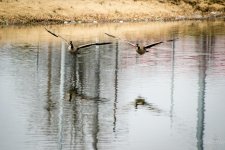 Day64-almost1.jpg