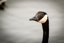 Day64-almost6.jpg