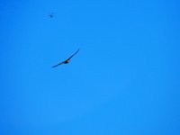 DSCN0029.jpg