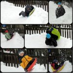 sled collage.jpg