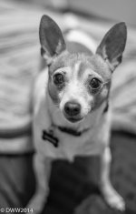 I am a cutie (1 of 1).jpg