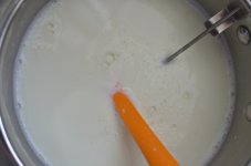 NIK_5906.jpg