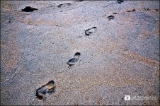 3-6-14 Beach 7sm.jpg