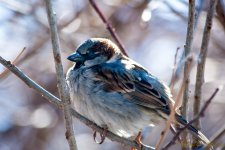 DSC_7760.jpg