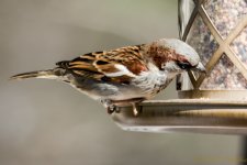 DSC_7767.jpg