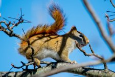 DSC_7776.jpg