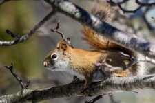 DSC_7783.jpg