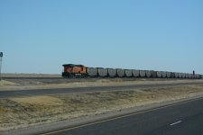 DSC_4470.JPG