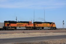 DSC_4483.JPG