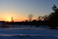 DSC_8297.jpg