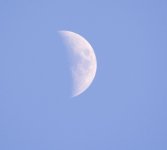 DSC_5297.jpg