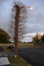 DSC_1090.jpg