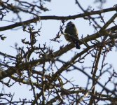 DSC_5314.jpg