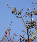 DSC_5249.jpg