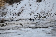 066 Choconut Creek-140307-01_01.jpg