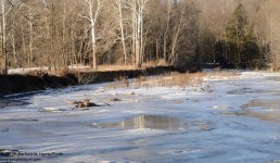 066 Choconut Creek-140307-03_01.jpg