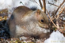 DSC_7805.jpg