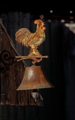 Cock a doodle do.jpg
