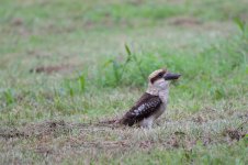DSC_4958.jpg