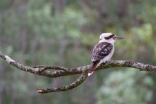 DSC_4964.jpg