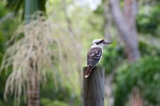 DSC_4982.jpg