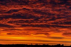 DSC_0373.jpg