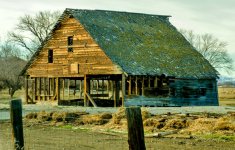 DSC_0358.jpg