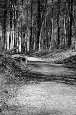 Road to roman remains Koerich.jpg