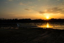 DSC_5521.jpg