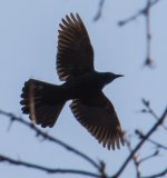 DSC_5492.jpg