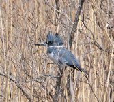 DSC_5319.jpg