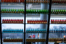 Day67-5.jpg