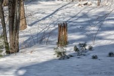 DSC_7826-Edit.jpg