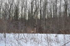 DSC_1376.jpg