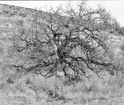 710_1184 Stitch.jpg