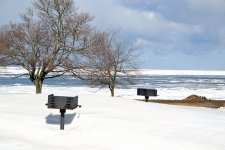 DSC_2367.jpg