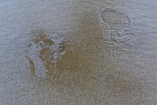 DSC_4042.jpg