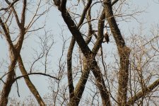 Day68-1.jpg